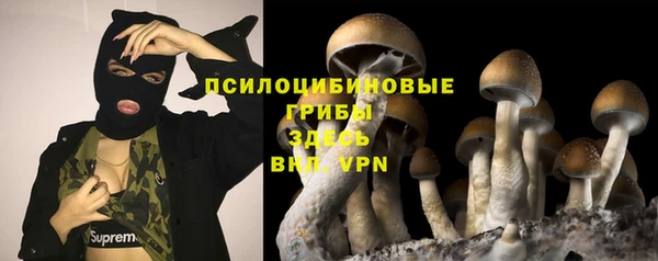 a pvp Россошь