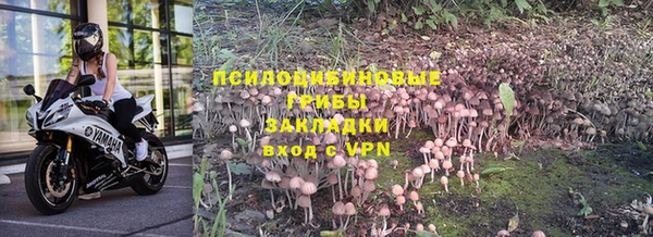 a pvp Россошь