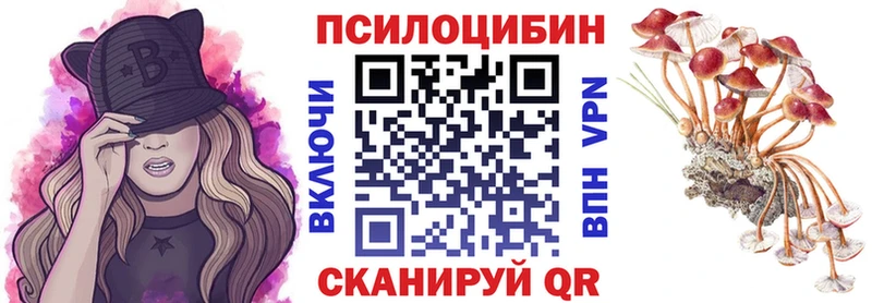 Псилоцибиновые грибы Psilocybe  даркнет как зайти  Избербаш 