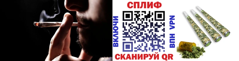 где можно купить Избербаш Каннабис конопля